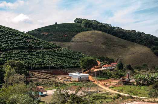 kaffeplantager i Brasilien