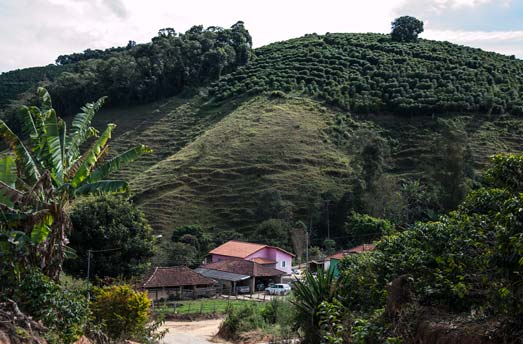 kaffeplantager i Brasilien